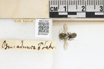 Media type: image;   Entomology 793067 Aspect: Labels